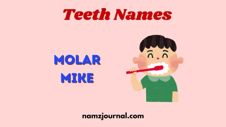 Teeth Names