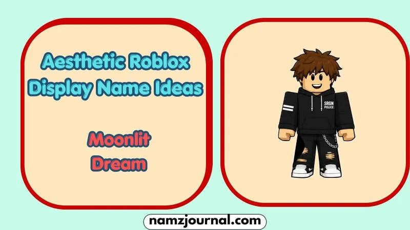 Aesthetic Roblox Display Name Ideas