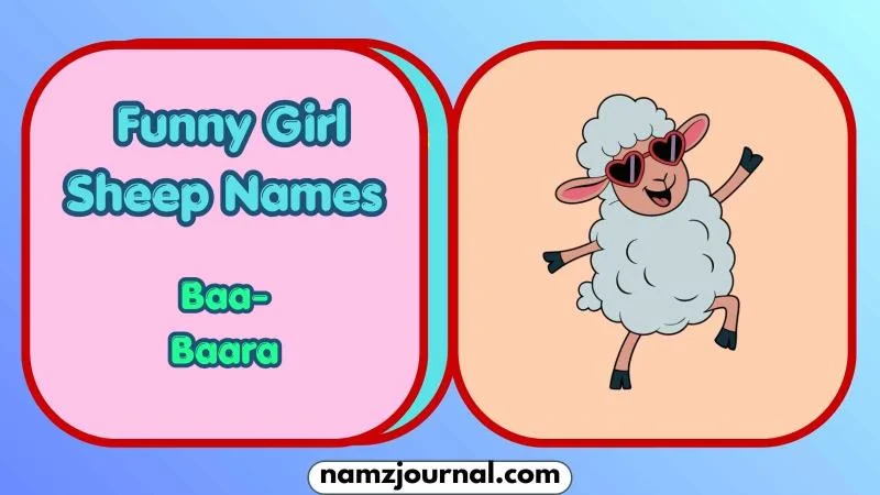 Funny Girl Sheep Names