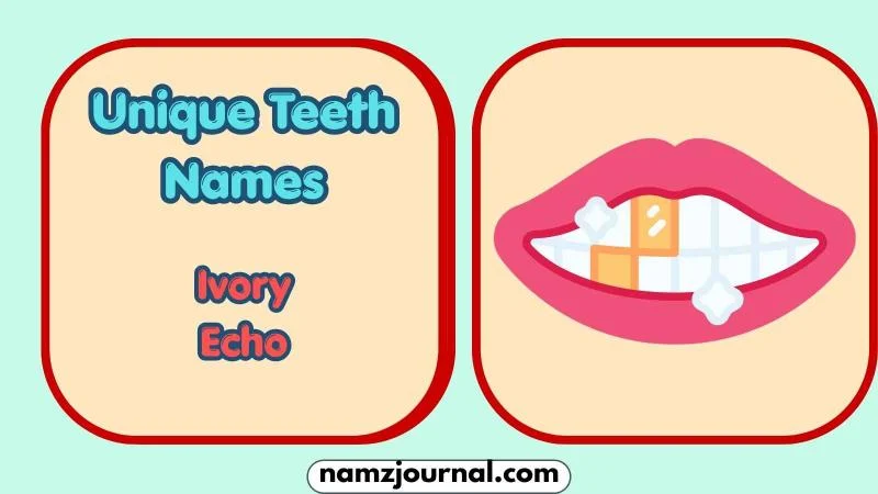 Unique Teeth Names